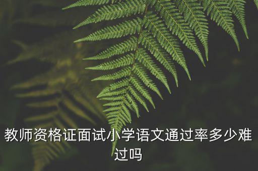 教師資格證面試小學語文通過率多少難過嗎