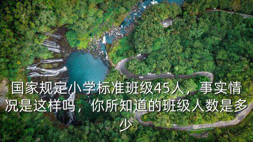 安徽省小學(xué)一個(gè)班級(jí)多少人,國(guó)家規(guī)定小學(xué)標(biāo)準(zhǔn)班級(jí)45人