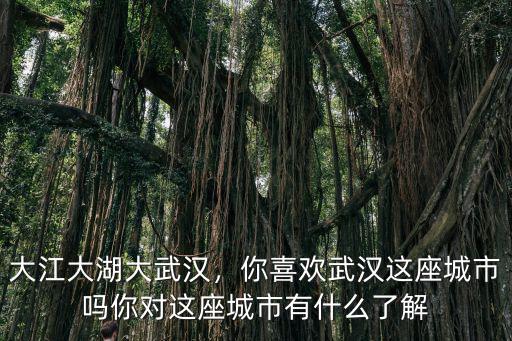 大江大湖大武漢，你喜歡武漢這座城市嗎你對這座城市有什么了解