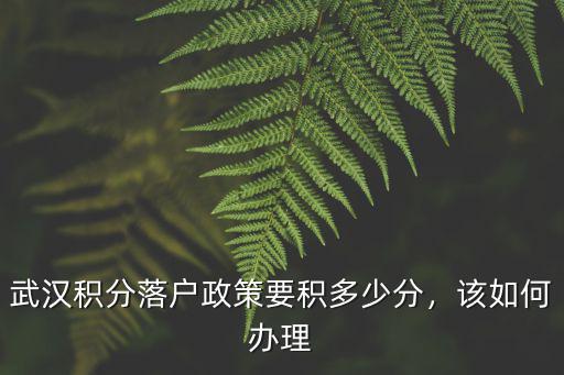 武漢積分落戶政策要積多少分，該如何辦理