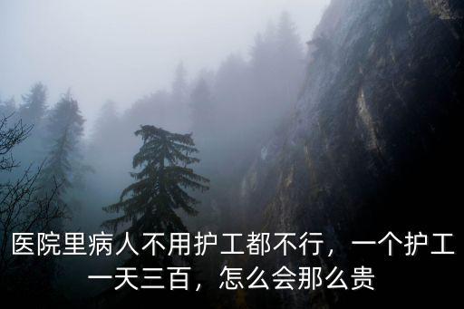 醫(yī)院里病人不用護(hù)工都不行，一個護(hù)工一天三百，怎么會那么貴