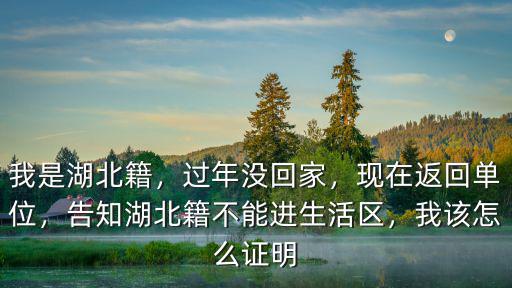 湖北沒回老家怎么證明沒回去,我該怎么證明