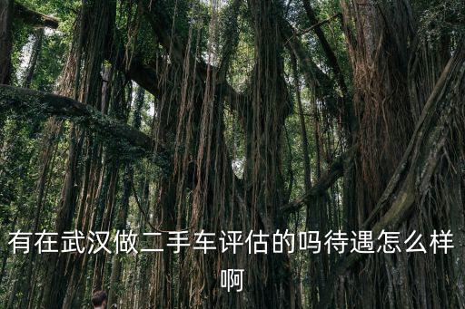 有在武漢做二手車評估的嗎待遇怎么樣啊