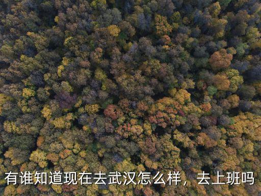 武漢體育局上班怎么樣,武漢體育學院怎么樣