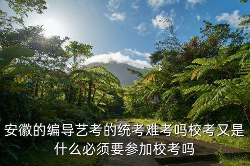 安徽省藝考編導統考滿分多少,安徽的編導藝考的統考難考嗎