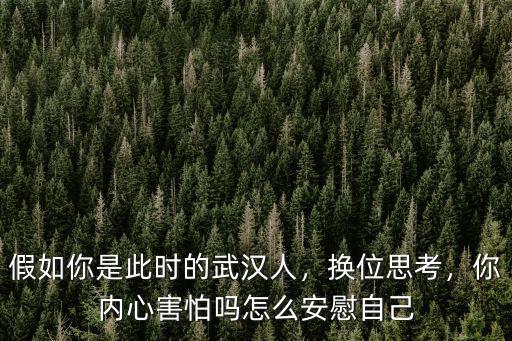 假如你是此時的武漢人，換位思考，你內心害怕嗎怎么安慰自己