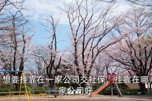 成都交社保掛靠公司哪里掛,個人掛公司交社保怎么交