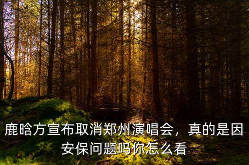 鹿晗方宣布取消鄭州演唱會，真的是因安保問題嗎你怎么看