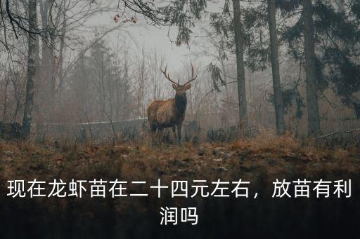 現在龍蝦苗在二十四元左右，放苗有利潤嗎