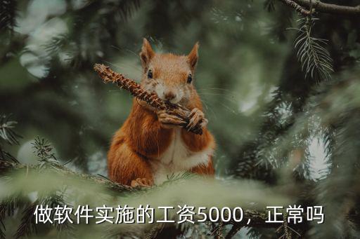 石家莊軟件實施工資一般多少,做軟件實施的工資5000
