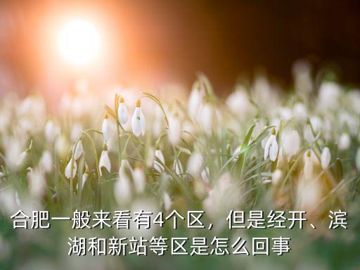 合肥共有多少區,合肥一般來看有4個區