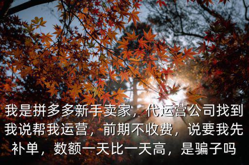 我是拼多多新手賣家，代運營公司找到我說幫我運營，前期不收費，說要我先補單，數額一天比一天高，是騙子嗎
