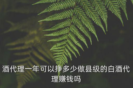 新鄉瓶裝紅酒代理一年掙多少,酒代理一年可以掙多少