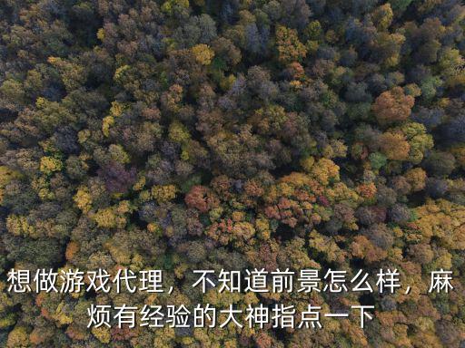 武漢游戲代理怎么樣,想做游戲代理