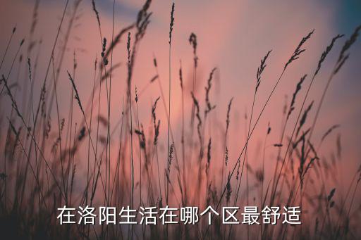 洛陽市城隍廟在哪里,在洛陽生活在哪個區(qū)最舒適