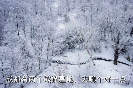 成都熊貓基地哪里看,成都的大熊貓基地在哪里