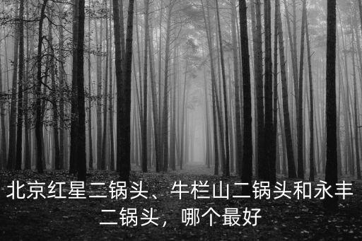 唐山紅星二鍋頭多少錢一瓶,北京紅星二鍋頭