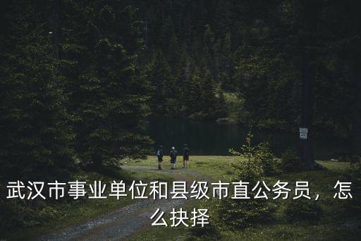 武漢市事業(yè)單位和縣級(jí)市直公務(wù)員，怎么抉擇