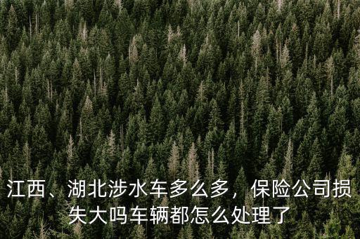 湖北的車怎么處理,湖北涉水車多么多