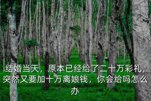結婚當天，原本已經(jīng)給了二十萬彩禮，突然又要加十萬離娘錢，你會給嗎怎么辦