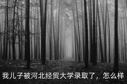 我兒子被河北經(jīng)貿(mào)大學(xué)錄取了，怎么樣