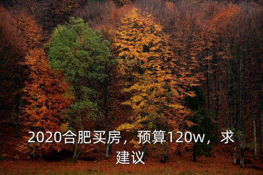 合肥買房預算多少,2020合肥買房