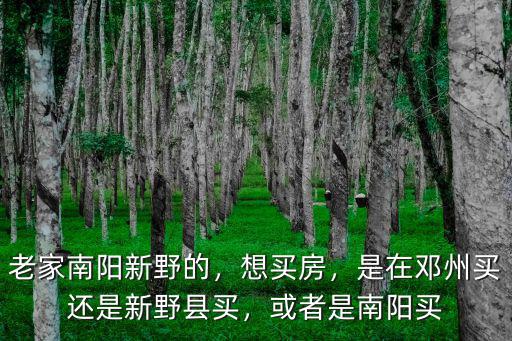 新野到南陽需多少小時,老家南陽新野的