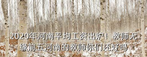 河南能源2020年工資怎么樣,2020年河南平均工資出爐