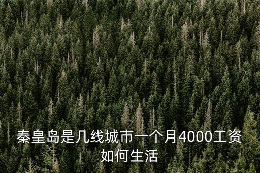 秦皇島是幾線城市一個月4000工資如何生活