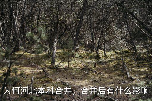 河北省有多少村合并,合并后有什么影響