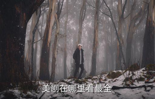 眉山在哪里看美劇的網站,現在哪里網站還可以看美劇