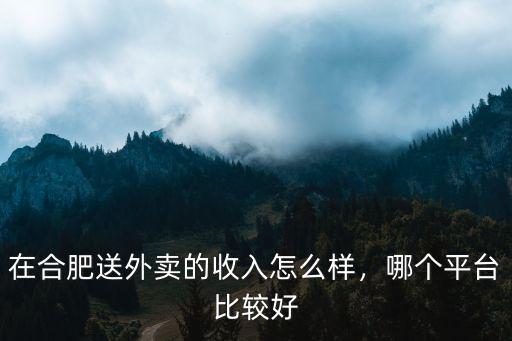 在合肥送外賣的收入怎么樣，哪個平臺比較好