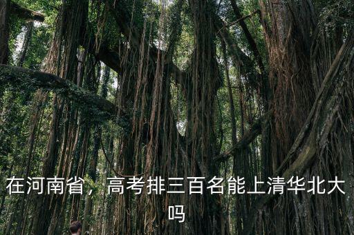 在河南省，高考排三百名能上清華北大嗎