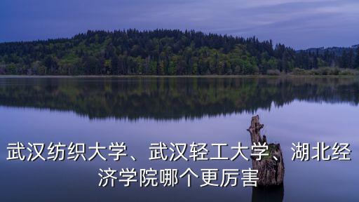 武漢紡織大學(xué)、武漢輕工大學(xué)、湖北經(jīng)濟(jì)學(xué)院哪個(gè)更厲害