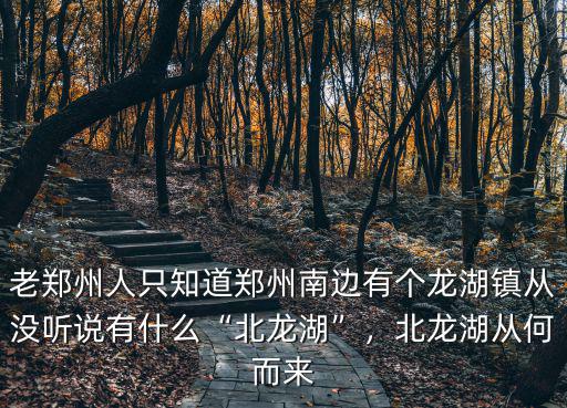 老鄭州人只知道鄭州南邊有個龍湖鎮從沒聽說有什么“北龍湖”，北龍湖從何而來