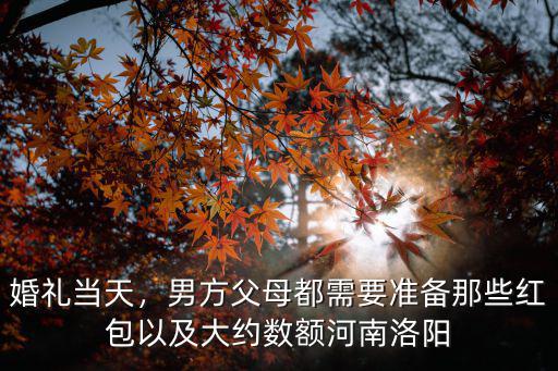 河南結(jié)婚新娘發(fā)多少紅包,在河南結(jié)婚需要準(zhǔn)備多少禮金