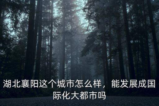 襄陽立信科技怎么樣,湖北襄陽的發展怎么樣
