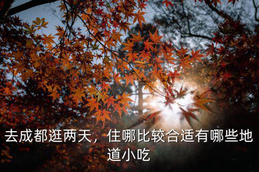 成都逛街小吃哪里,去成都逛兩天