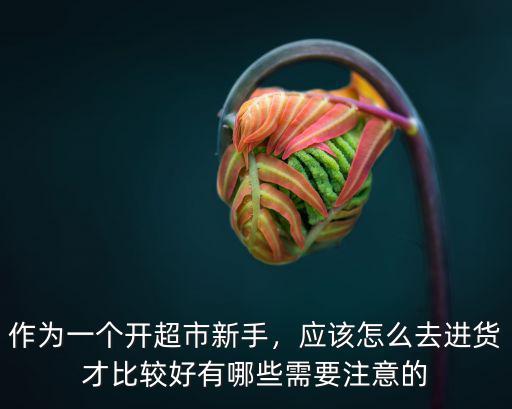 焦作開超市去哪里進貨,該去哪里進貨呢