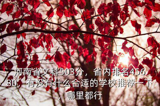 河南省文科533排名多少,河南省文科503分