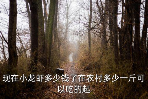 鄭州小龍蝦價格多少錢一斤,現(xiàn)在小龍蝦多少錢了