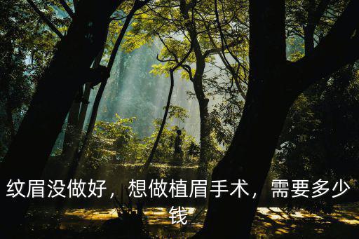 紋眉沒做好，想做植眉手術(shù)，需要多少錢