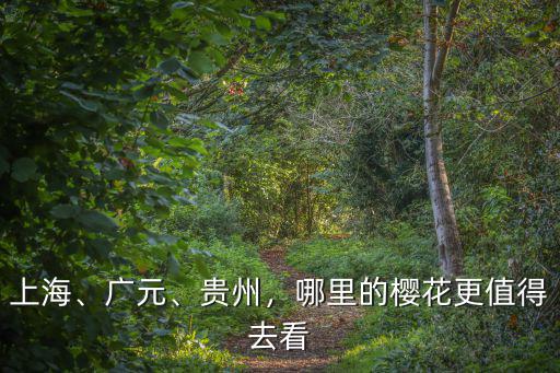 廣元到哪里看油菜花,廣元酸菜怎么做