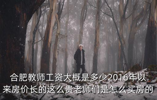合肥教師月薪多少,合肥教師工資大概是多少