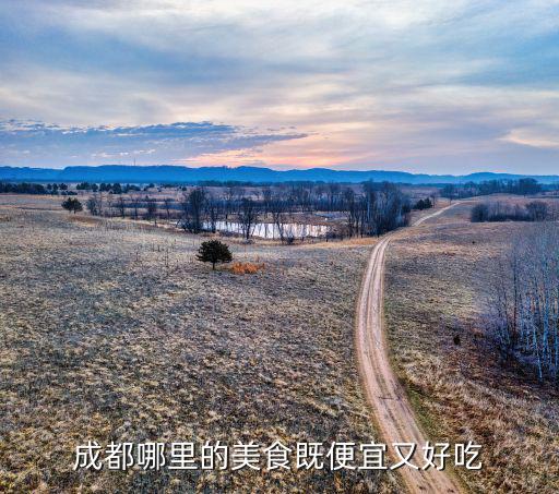 成都哪里有美食便宜,成都哪里的美食既便宜又好吃