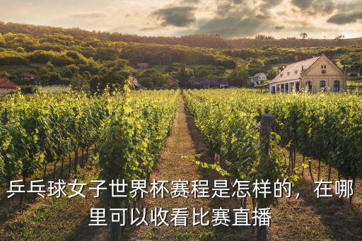 乒乓球女子世界杯賽程是怎樣的，在哪里可以收看比賽直播