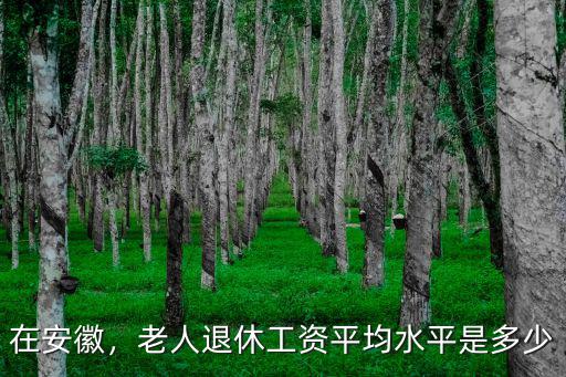 安徽農(nóng)商銀行柜員退休工資是多少,老人退休工資平均水平是多少