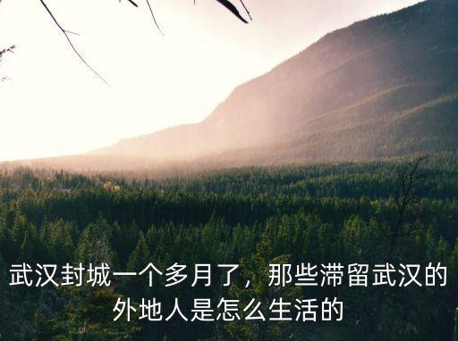 武漢封城一個多月了，那些滯留武漢的外地人是怎么生活的