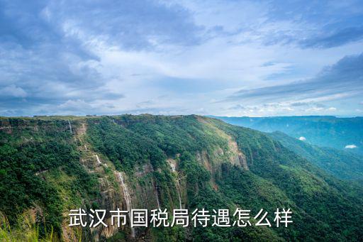 武漢樂(lè)培教育待遇怎么樣,武漢市國(guó)稅局待遇怎么樣
