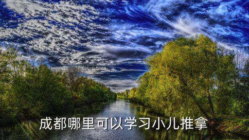 成都哪里可以學習小兒推拿